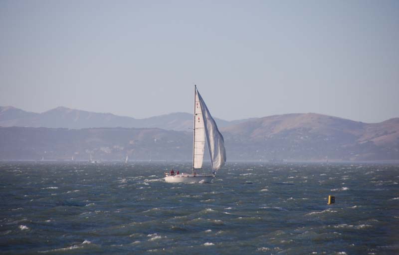 DSC_2816