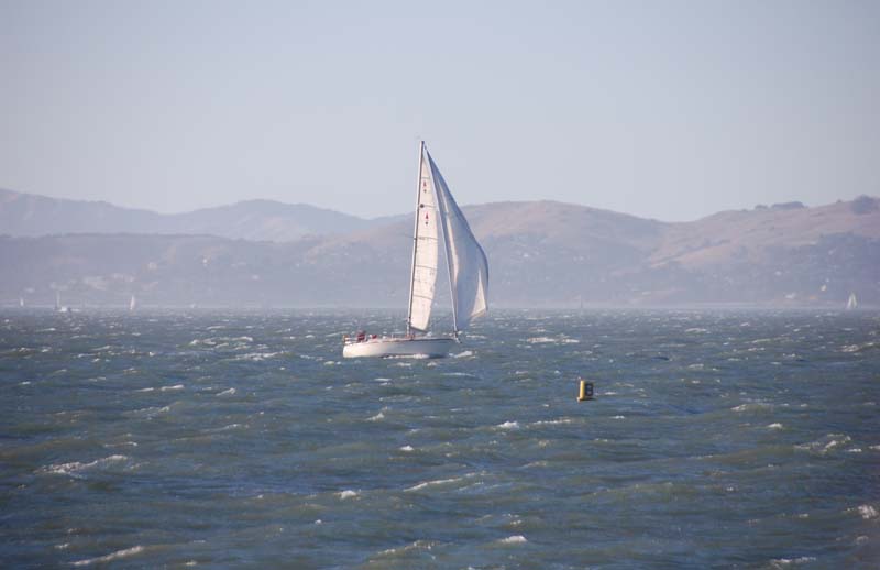 DSC_2818