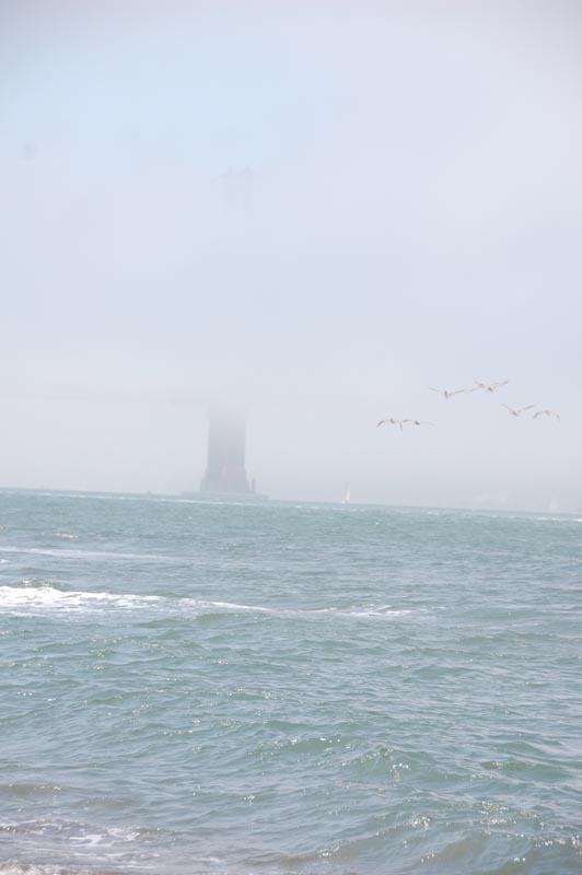 DSC_6176