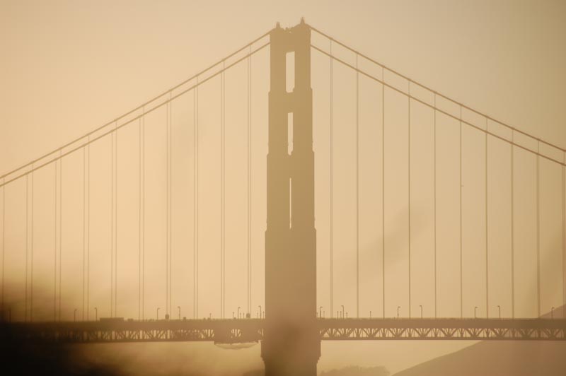 DSC_6245