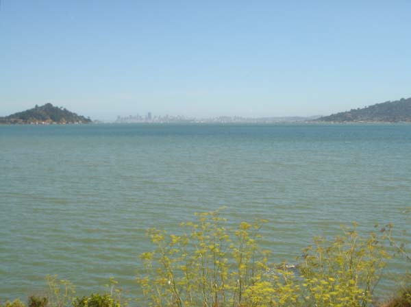DSC02256
