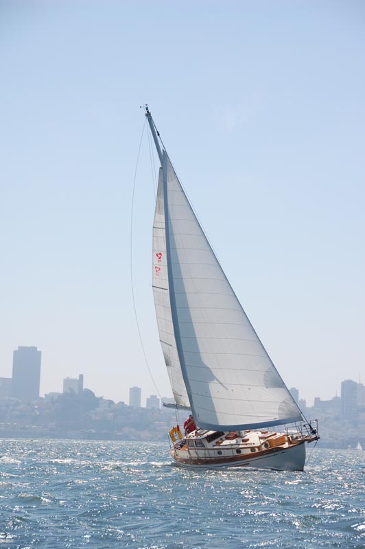 DSC_3259