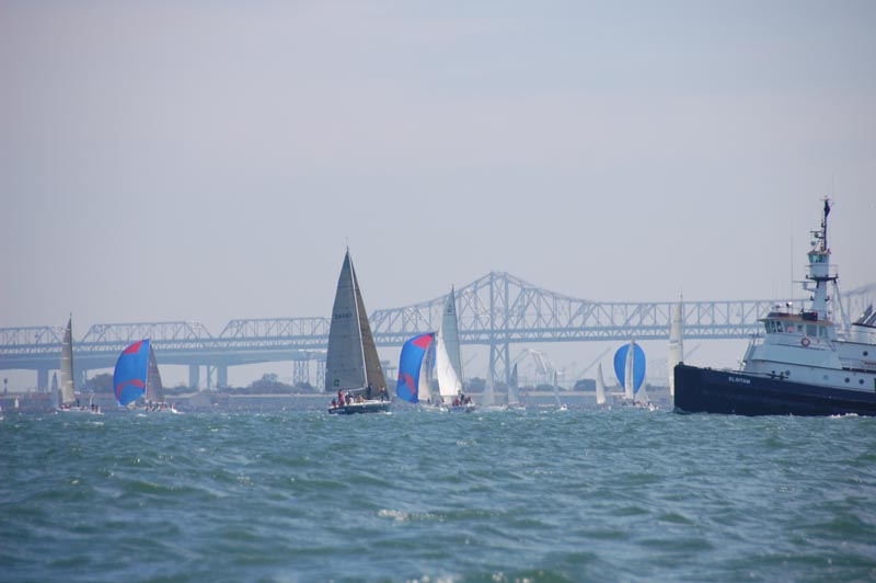 DSC_3311