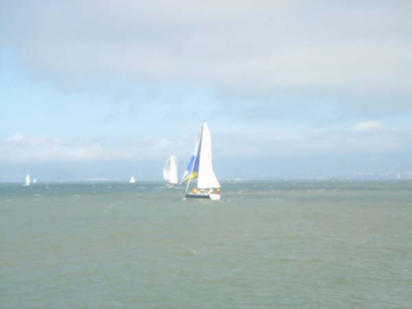 DSC02351