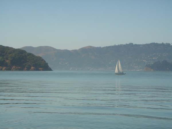 DSC02510