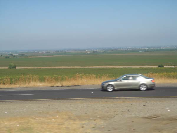 DSC02514