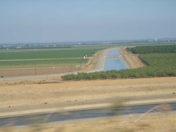 DSC02517