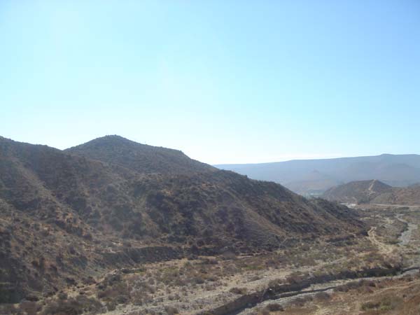 DSC02526
