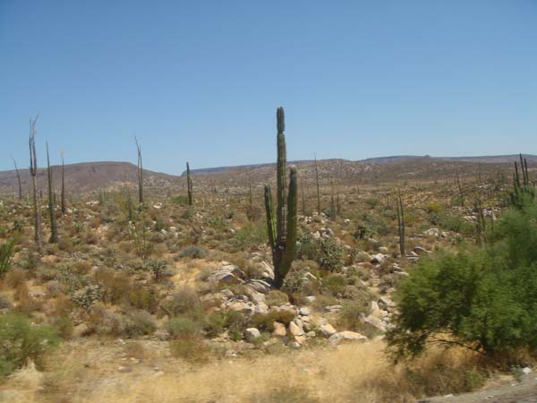 DSC02529