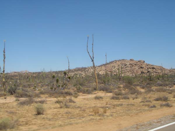 DSC02537