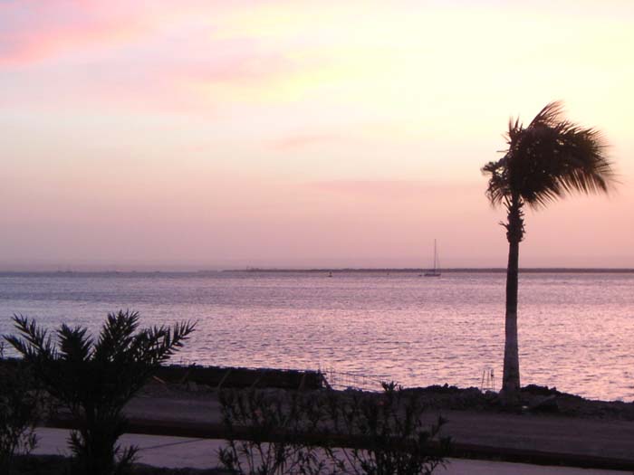 PICT0047