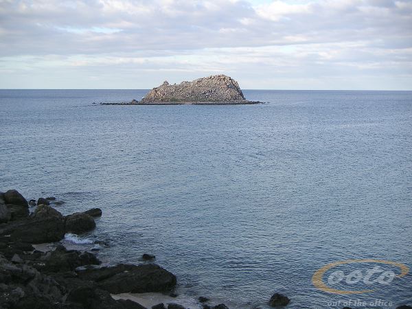 PICT0040