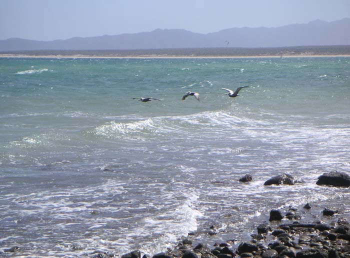PICT0021