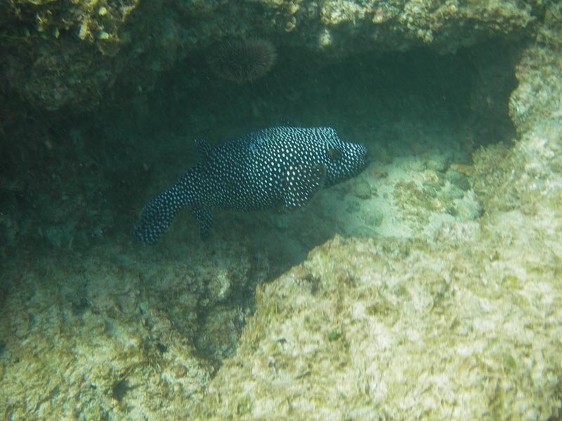IMGP0369