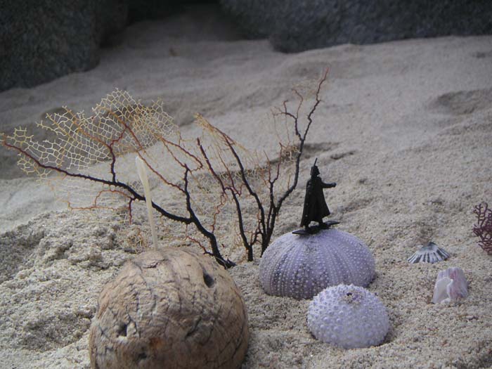 PICT0021