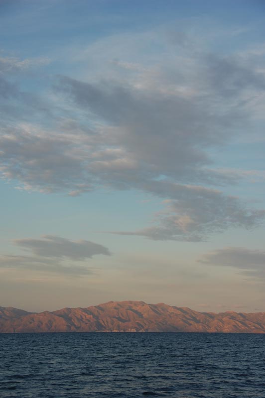 DSC_6638