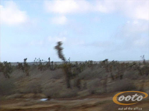 Clip 28