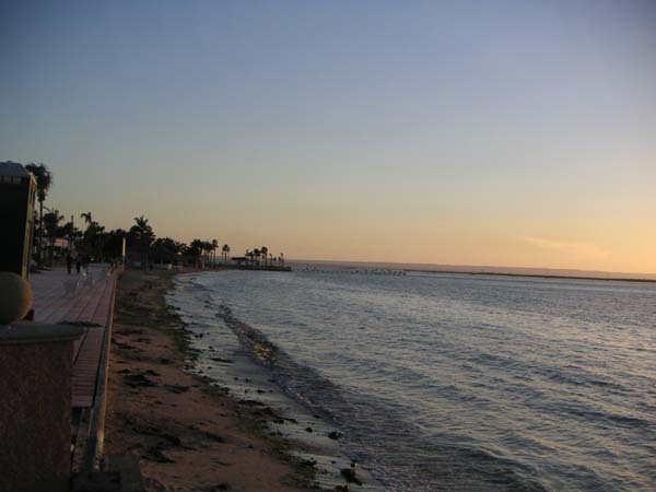 PICT0037