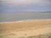 PICT0055