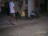 PICT001101